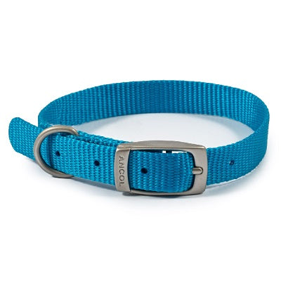 Ancol Viva Buckle Collar Blue 20-26cm