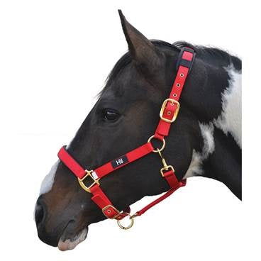 Hy Deluxe Padded Head Collar Red