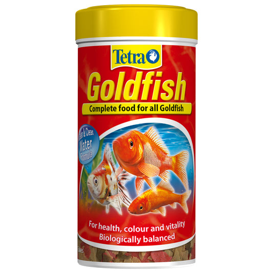 Tetra Goldfish