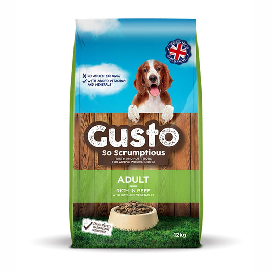 Gusto Adult