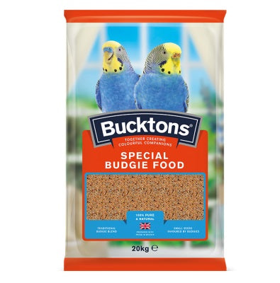 Bucktons Special Budgie