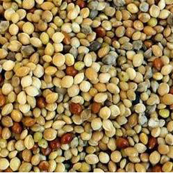 JJ Millet Mixed