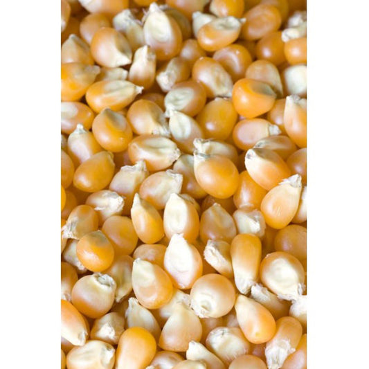 Whole Maize