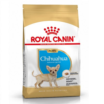 RC Chihuahua Puppy