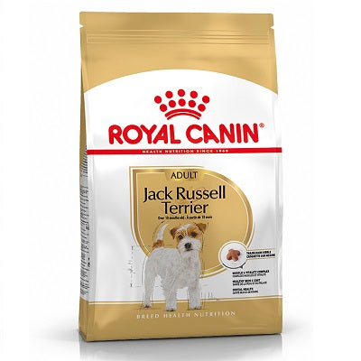 RC Jack Russell