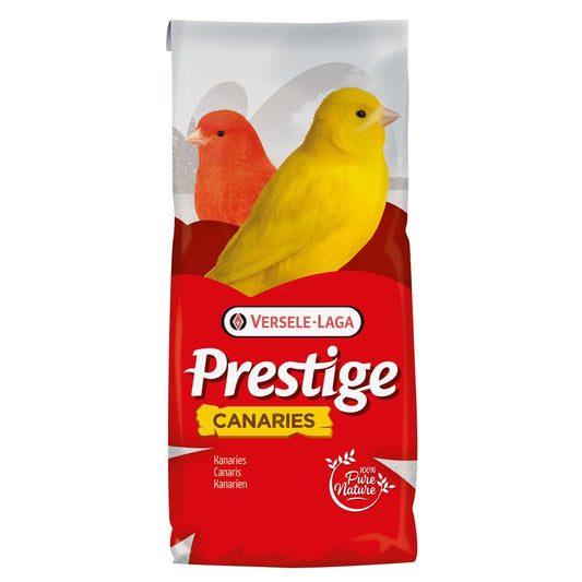 VL Canary Prestige