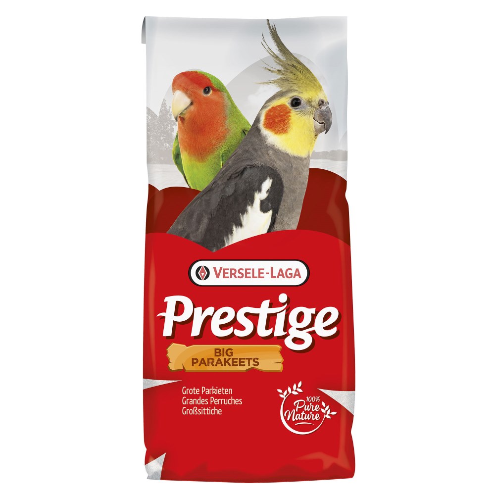 VL Big Parakeet Prestige