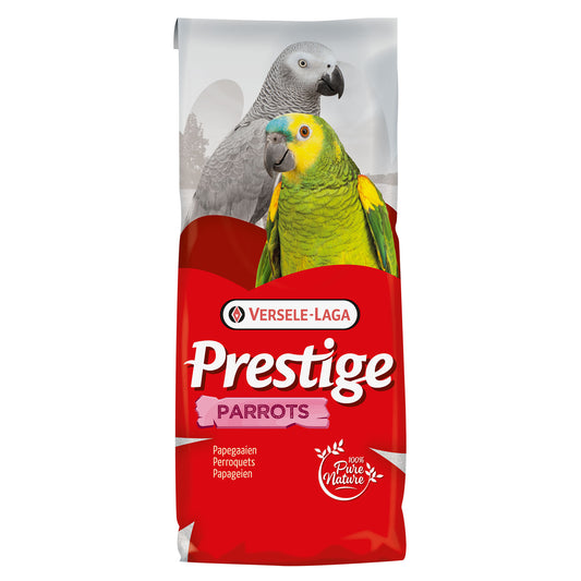 VL Parrots Breeding Prestige