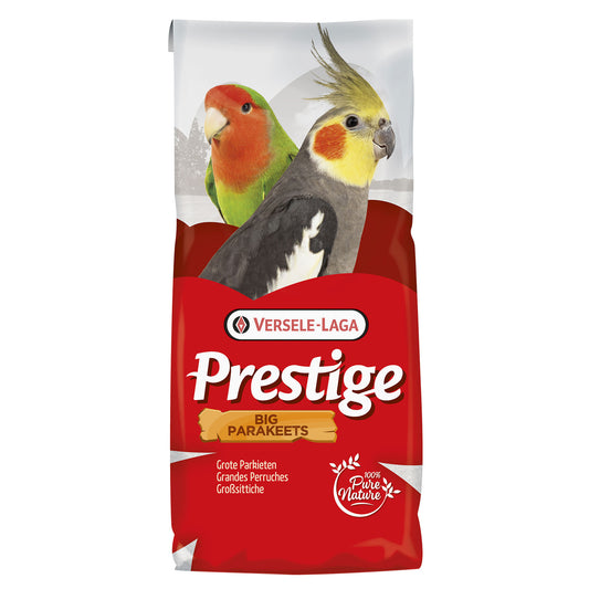 VL Big Parakeet Standard Prestige