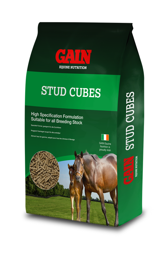 Gain Stud Cubes