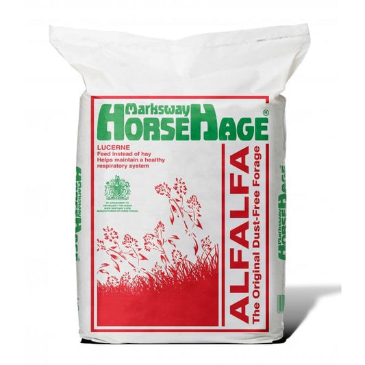 Horsehage Lucerne/Alfalfa Red