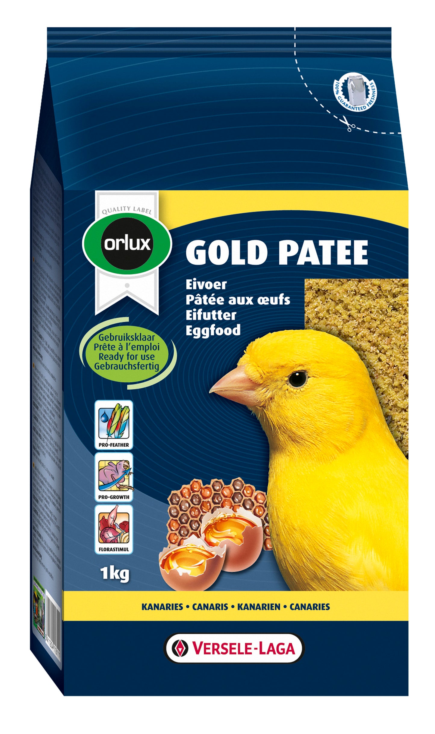 VL Gold Patee Canaries