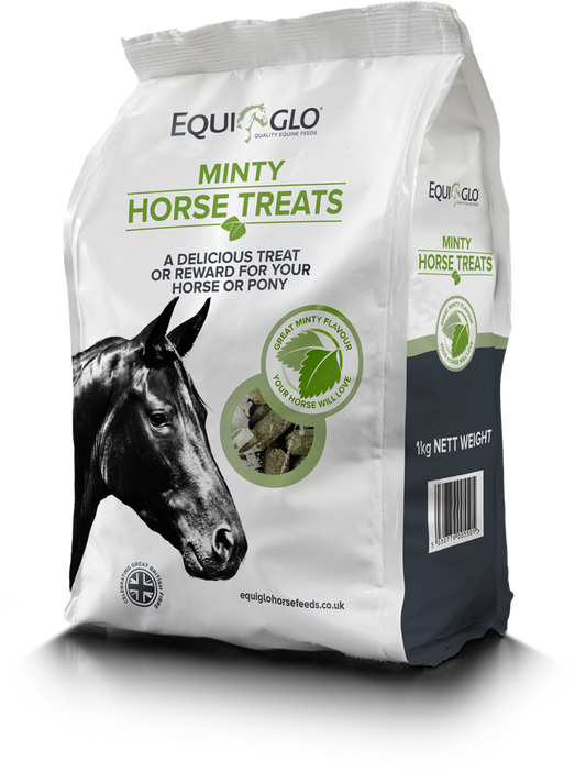 Mr Johnsons Equiglo Horse Treats & Herbs