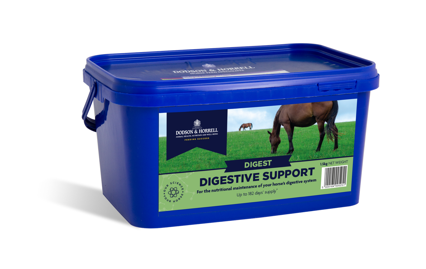 D & H Digestive Support