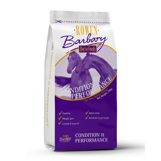 Rowen Barbary Condition & Performance