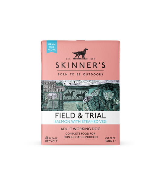 Skinners F&T Adult GF Salmon 18x390g