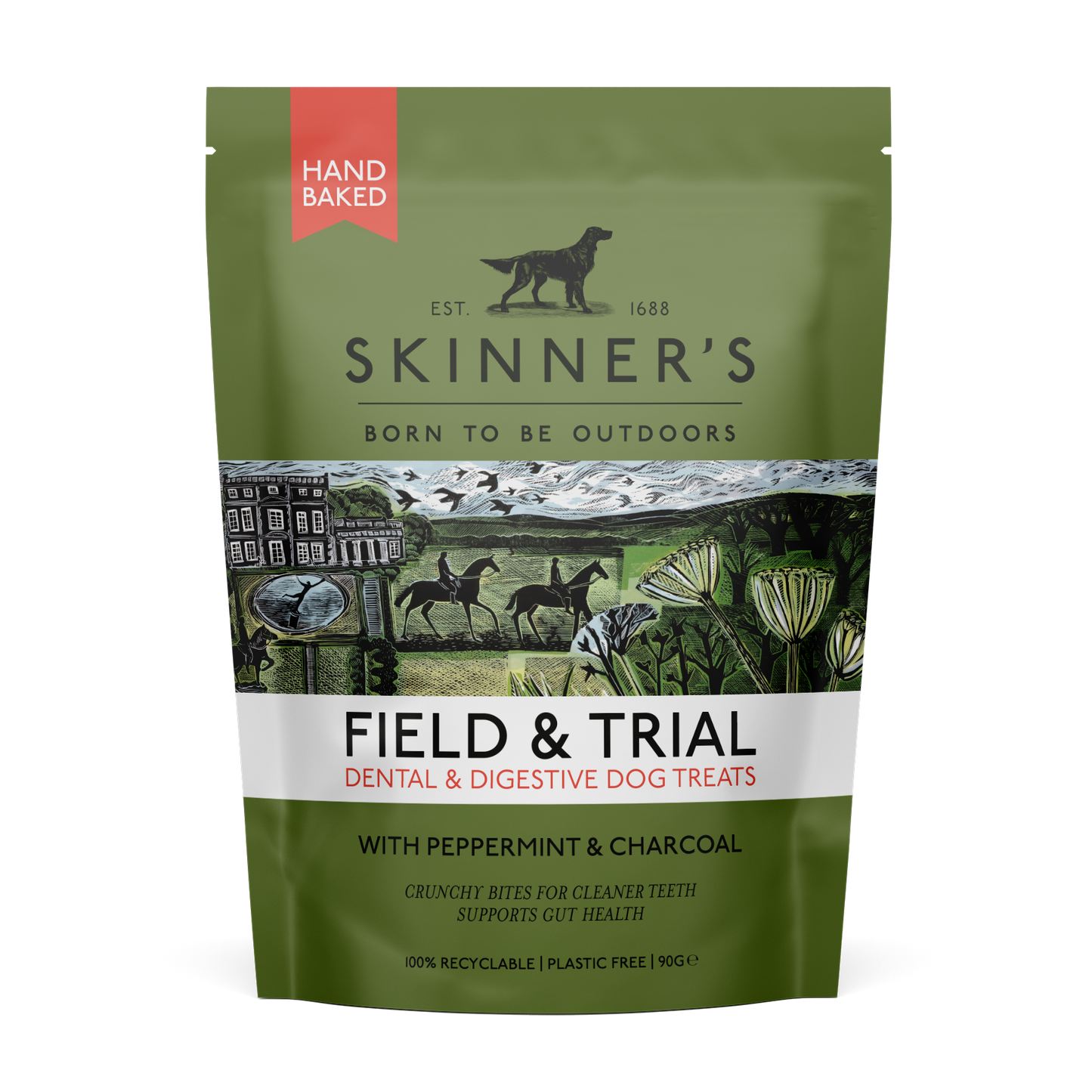 Skinners F&T Dental & Digestive 8x90g