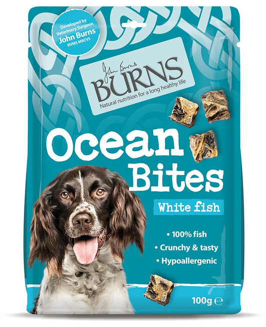 Burns Ocean Bites 10x100g