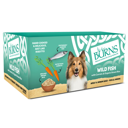 Burns Dog Tray Wild Fish 12x150g