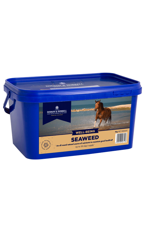 D & H Seaweed