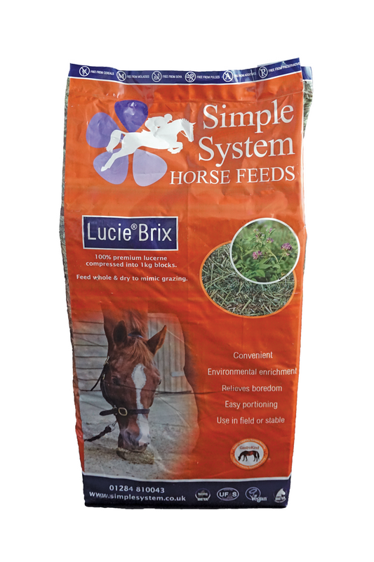 Simple System Lucie Brix Lucerne Bricks