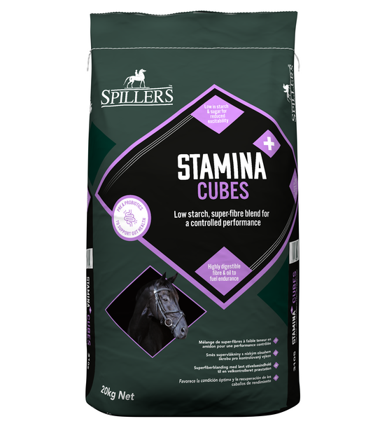 Spillers Stamina+ Cubes