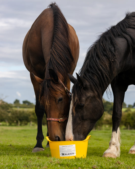 DK Equine Flexi Tub Garlic