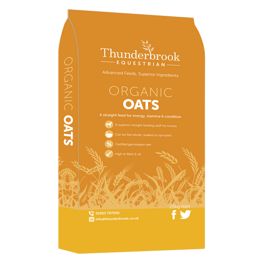 Thunderbrook Whole Organic Oats