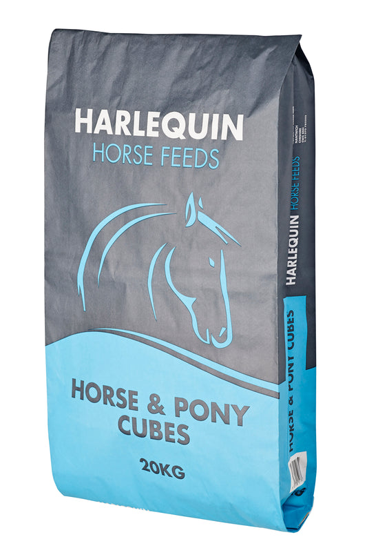 Harlequin Horse & Pony Cubes