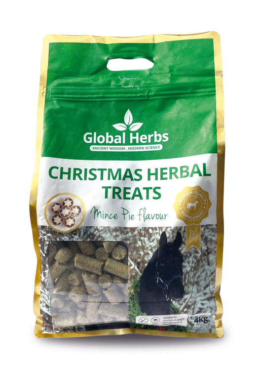 Global H Herbal Treats Christmas Pudding