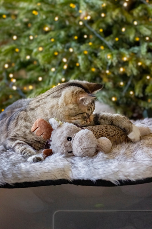 Xmas Reindeer Cardboard Cat Scratcher