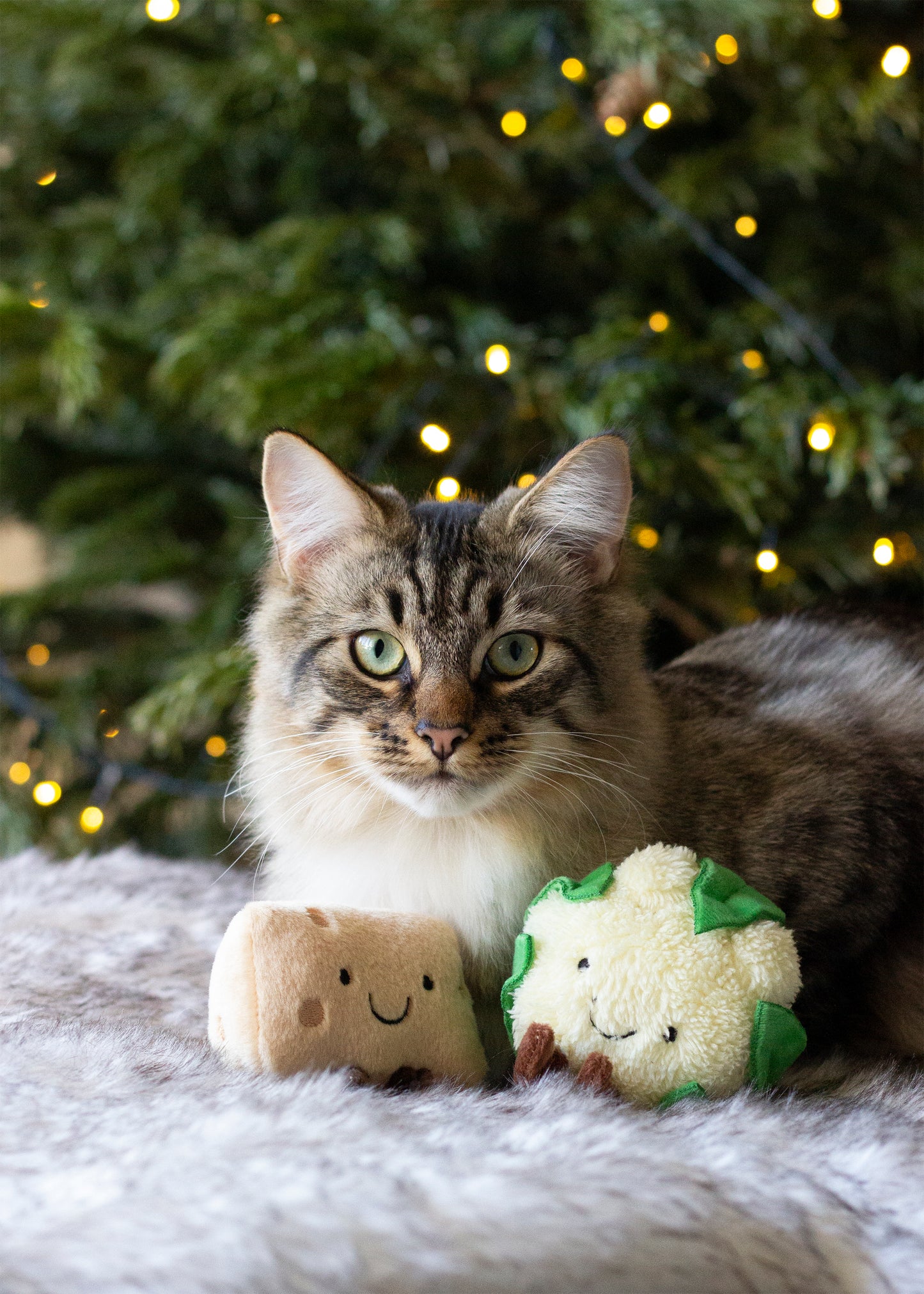 Xmas Cat Cauliflower Cheese Duo 2 Pack