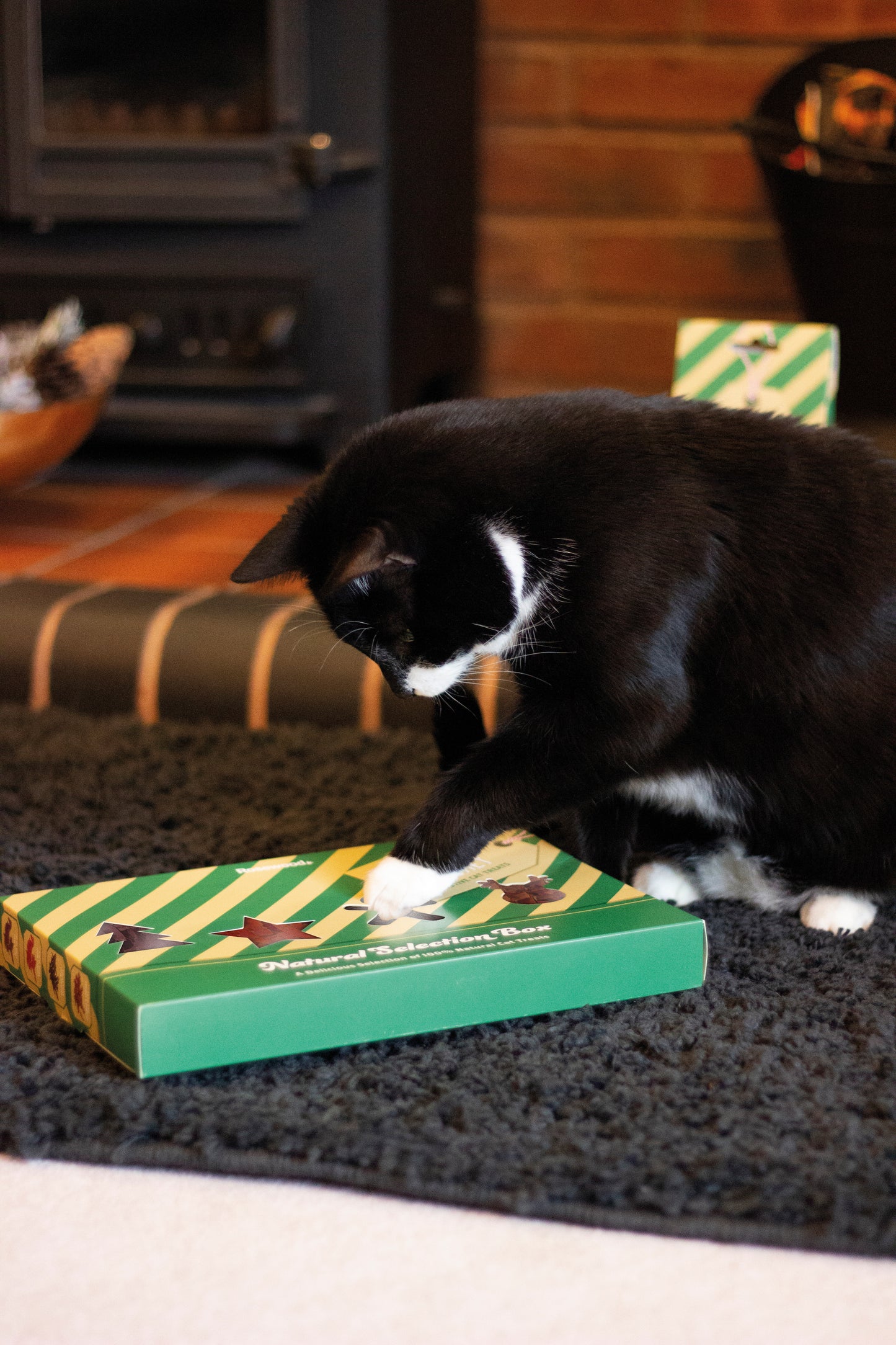 Xmas Cat Natural Treat Selection Box