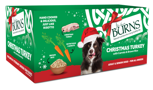 Burns Xmas Dog Tray Turkey 12x150g