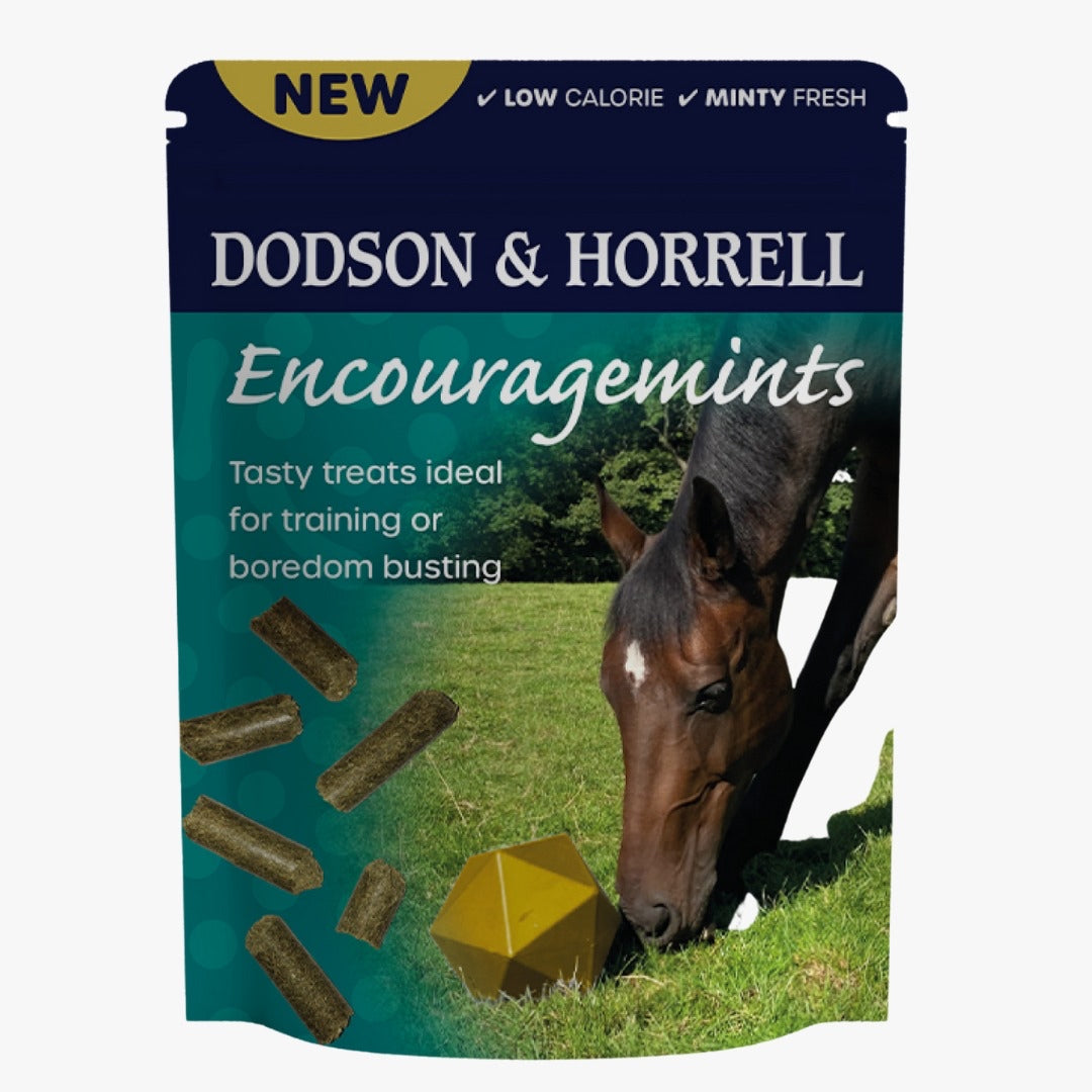 D & H Encouragemints