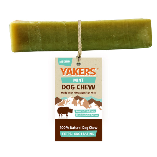 Yakers Mint Dog Chew