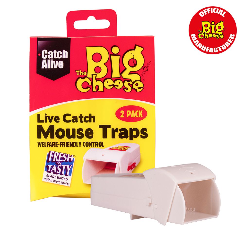 Big Cheese Live Catch Mouse Trap