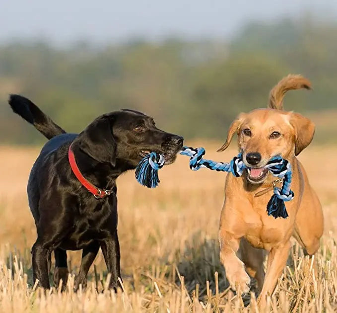 Dog rope toy.