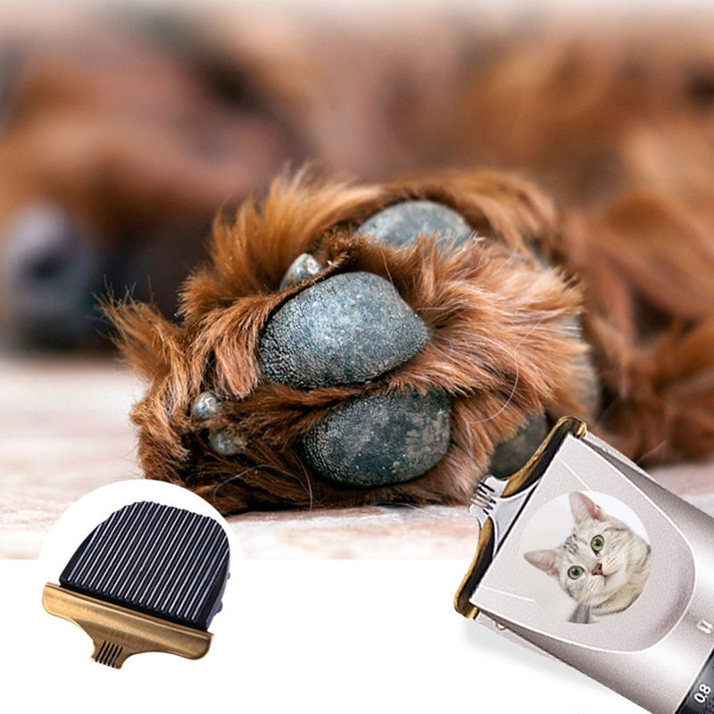 OnlinePetToys™- Grooming Set